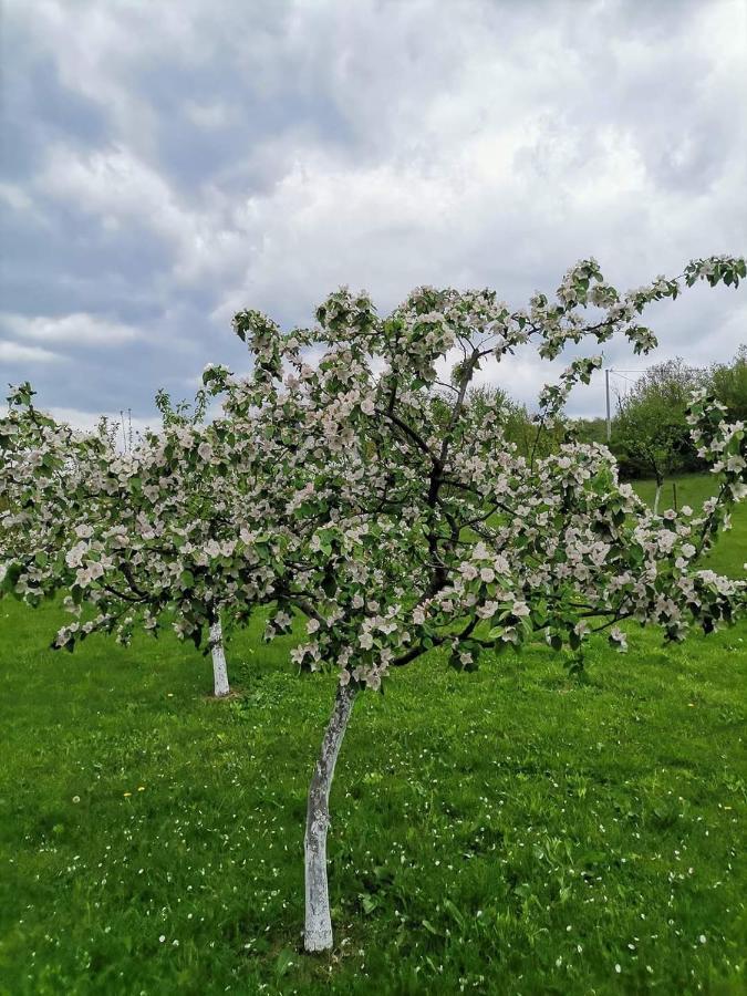 Villa Lana Bihać Esterno foto